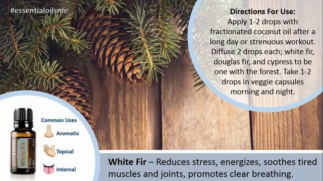Terrific doTERRA White Fir Essential Oil Uses смотреть онлайн
