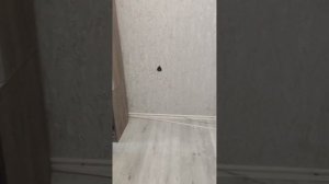 Штробление стен по чистовой отделке#Технология  на заметку#как сделать розетку когда приклеили обои