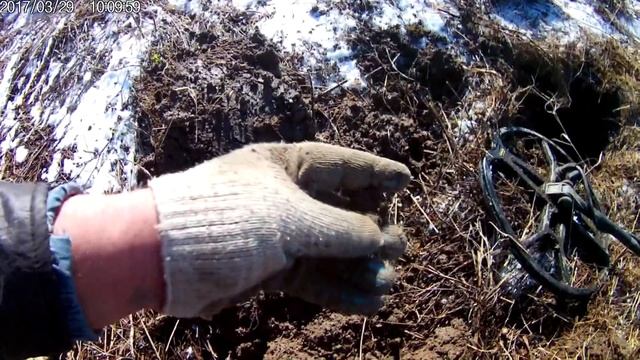 Серебро Тохтамыш хана.Берег засохшего древнего пруда.Коп 2017,март.