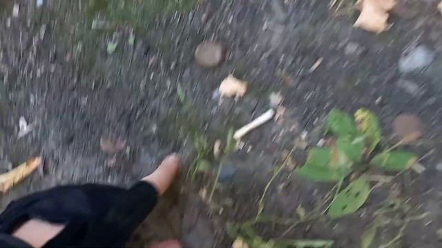 Поиск крышек по Омску. смотреть онлайн