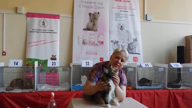 EVFROSINIYA KENIG PRIDE - 10 months смотреть онлайн