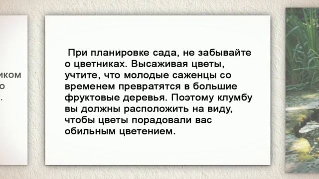 Несколько дачных советов