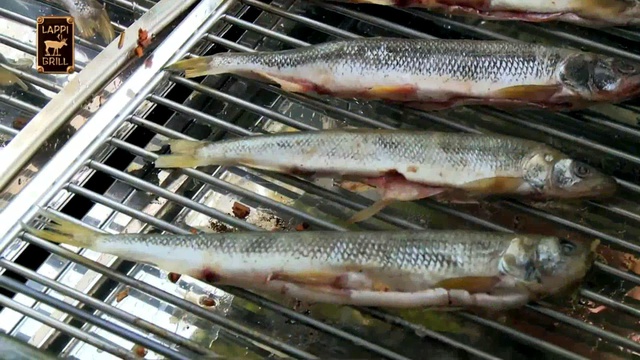 Гриль - барбекю для дачи купить в интернет-магазине Www.GrilliBarbecue.ru