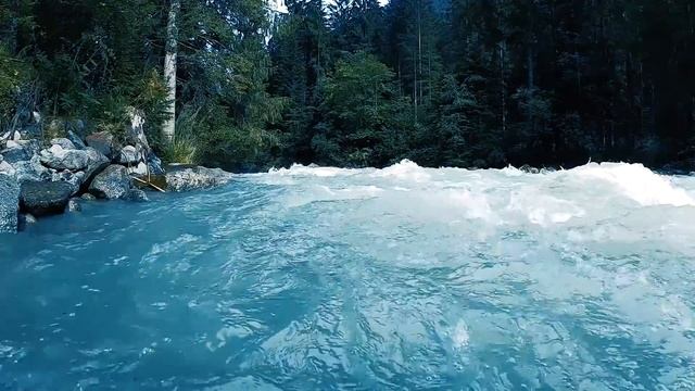 Надругавшись над студенткой, мажор вывез тело в лес на корм зверям. Её нашла рысь и сделала нечто смотреть онлайн