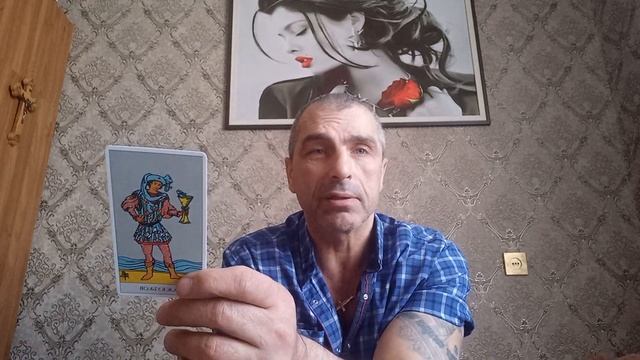 Карта дня. Паж кубков. значение... смотреть онлайн