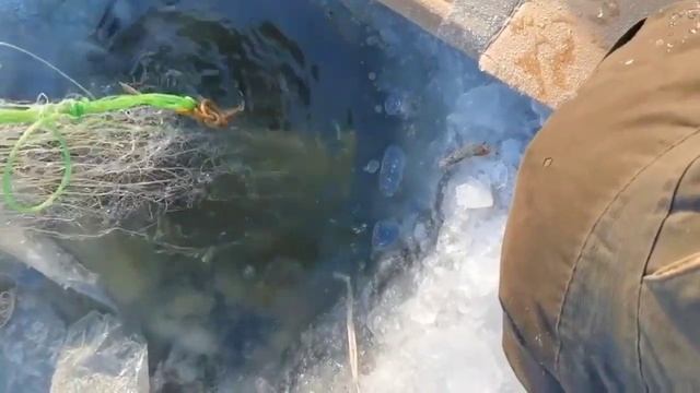 Проверка сети. Рыбалка на сети зимой смотреть онлайн