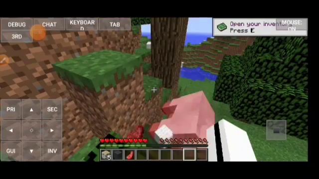 paano mag-sign in sa PojavLauncher Java Edition Sa Android Bangin смотреть онлайн