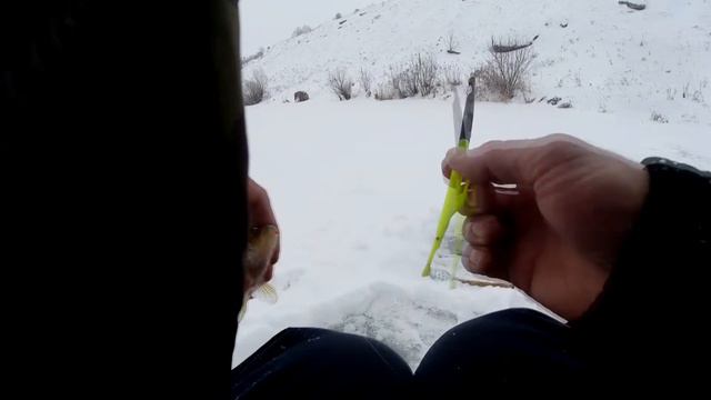 Рыбалка на Сосне в конце Января! смотреть онлайн