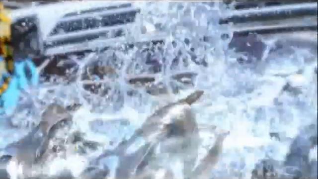 final fantasy XIII & final fantasy versus XIII trailer смотреть онлайн