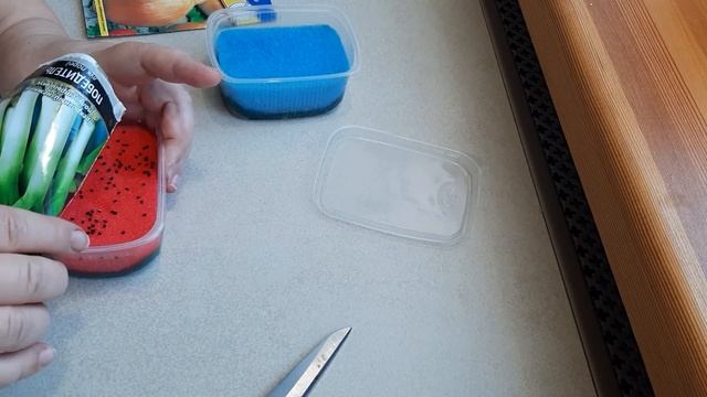 Проращивание семян интересный способ.