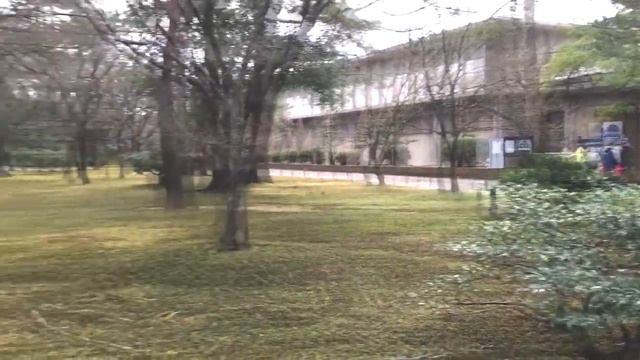 Korakuen Garden Sleet In Okayama