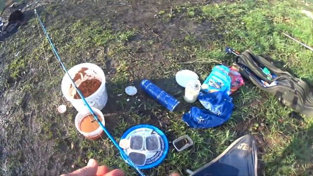 Ловля на закидушки. Отдых на природе. река Вазуза #рыбалка смотреть онлайн