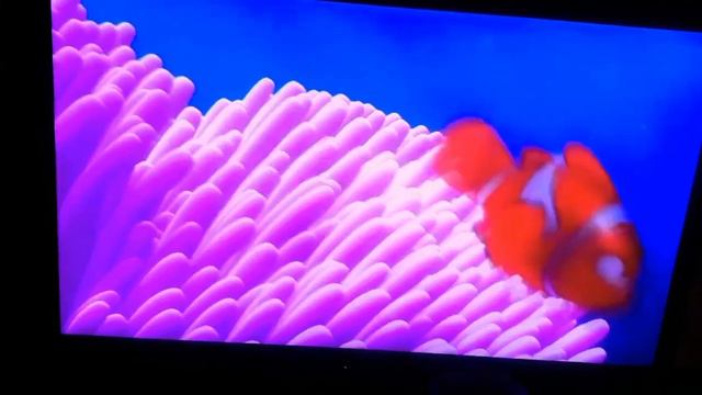 Abertura do DVD Bulinando Meno смотреть онлайн