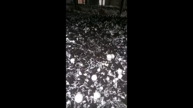 Триходерма: обработка проблемного места (Выращивание шампиньонов) смотреть онлайн