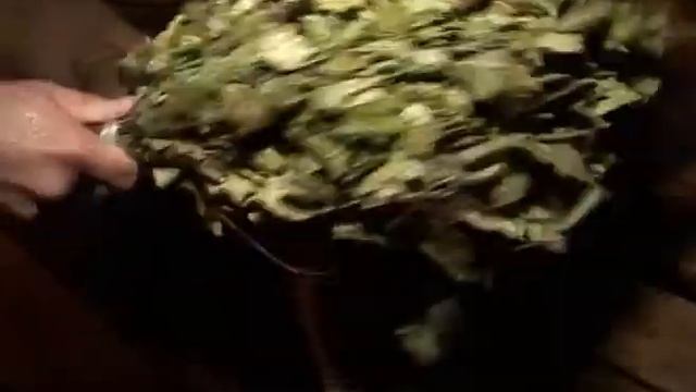 бани ягодное комплекс смотреть онлайн