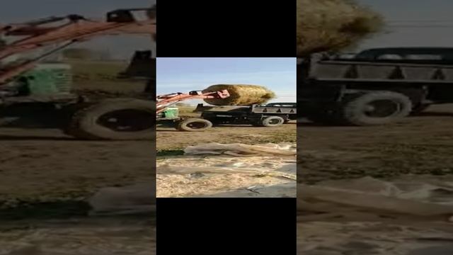 МТЗ-50 и ГАЗ-93 смотреть онлайн
