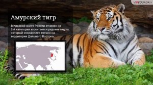 Красная книга России