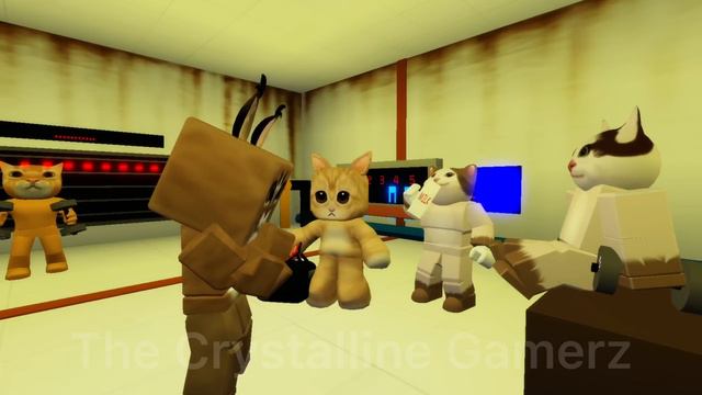 BOBBY AND EL GATO IN CAT CITY | Funny Roblox Moments | Brookhaven 🏡RP смотреть онлайн