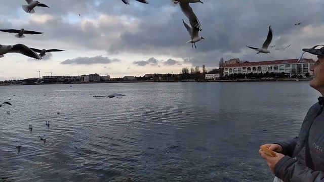 Кормление в воздухе смотреть онлайн