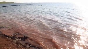 Рыбалка на заливе Сарагаш. Июль 2021г.