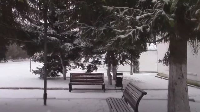 Раненая птица_ Исполняет_ Дарина. смотреть онлайн