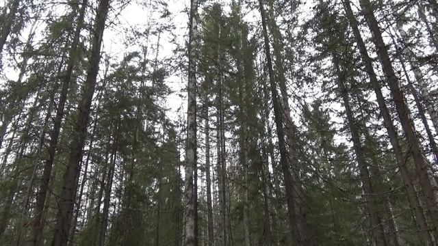 Сколько не хитрили, а всё равно в суп попали смотреть онлайн