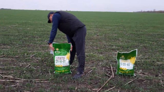 Комплексні добрива Ярило Злато НПК 21-21-21 та НПК 5-20-40 норма внесення 2-3кг/га на всі культури. смотреть онлайн