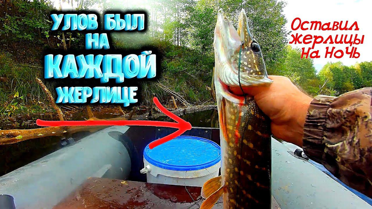 ✔ Рыбалка на живца Бутылки опять ныряют Оставил жерлицы на ночь смотреть онлайн