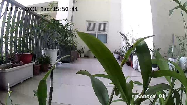Demo camera IP Wi-Fi 2.0Mpx Hikvision DS-2CV2U21FD-IW vào ban ngày смотреть онлайн
