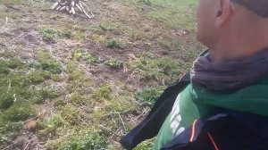 Борщевик опрыскивать глифосатом! Я применяю Торнадо 540, только гербициды могут спасти от Борщ-ужас