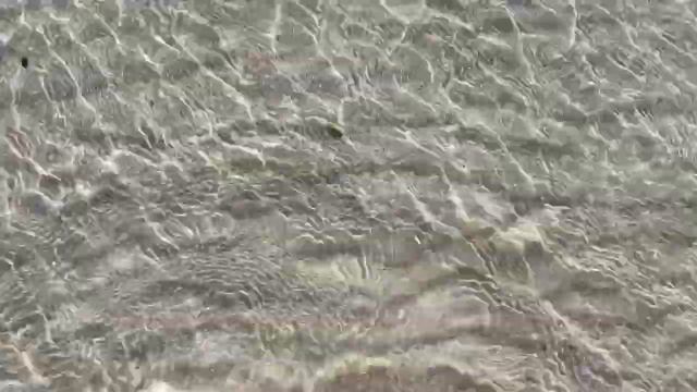 США ❤️ ДЕНЬ БЛАГОДАРЕНИЯ В АМЕРИКЕ ❤️ ЧТО Я ПРИГОТОВИЛА НА СТОЛ . НАША ПРОГУЛКА . КУПАЕМСЯ В Ноябре смотреть онлайн