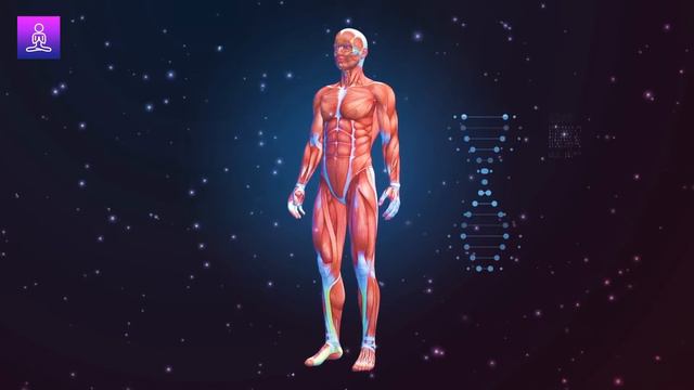 Grow Taller Frequency: 31.32 Hz Pituitary Stimulation For Height Growth