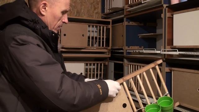 Обзор инвентаря в новой голубятне. .г. Самара,Олег Костяков. тел.89276513003 смотреть онлайн