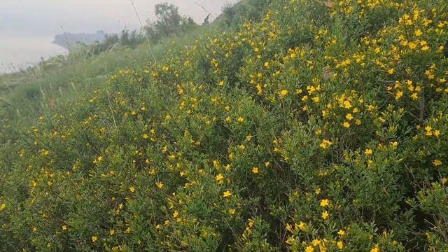 НЕДЕЛЯ СИЛЫ-СОЛНЦЕСТОЯНИЕ смотреть онлайн