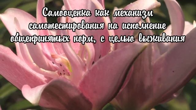 Если самооценка — «ахиллесова пята» смотреть онлайн