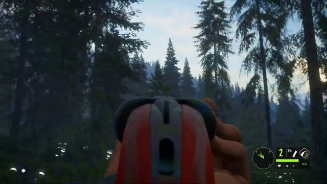 Лесной тропой - Заказник "Серебряные Вершины" (Silver Ridge Peaks) theHunter: Call of the Wild смотреть онлайн