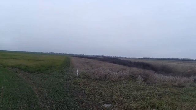 Шакала выгнал криком. Пока настраивал камеру, выбежал заяц. Удачная охота смотреть онлайн