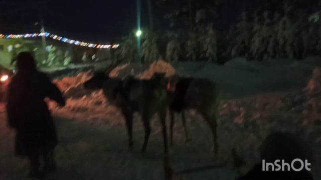 Большие подарки на новый год?Новый год удался ?? смотреть онлайн