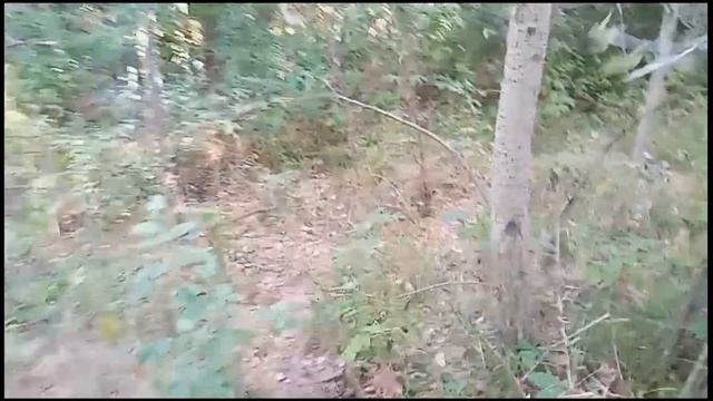 КАК СОБРАТЬ ГРУЗДИ или Назвался груздем полезай к Валерону в кузов смотреть онлайн