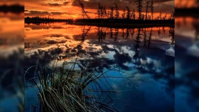Ментальный захват. Быстрое снятие напряжения. Защита на экран. Ментальная гигиена. смотреть онлайн