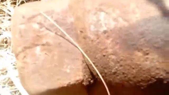 Коп в Забайкальских Степях. Нашли Стекляную Бутылку на Глубине 2 метра смотреть онлайн