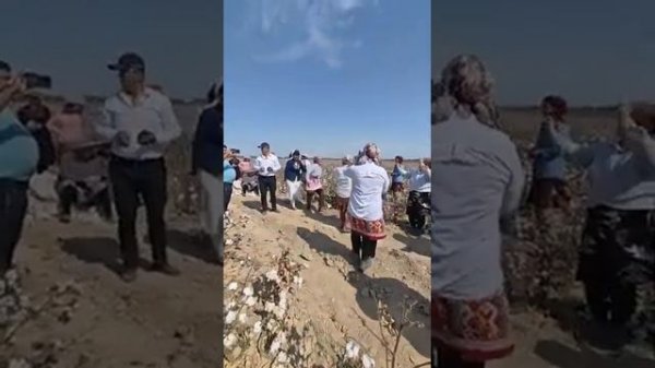 Temir Xotin Пахта 2023 Темир Хотин ★ Paxta 2023 Temir Xotin ★ Темир Хотин