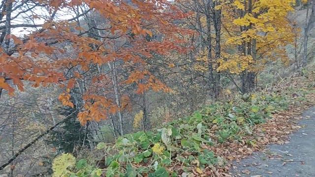 Лаго - Наки смотреть онлайн