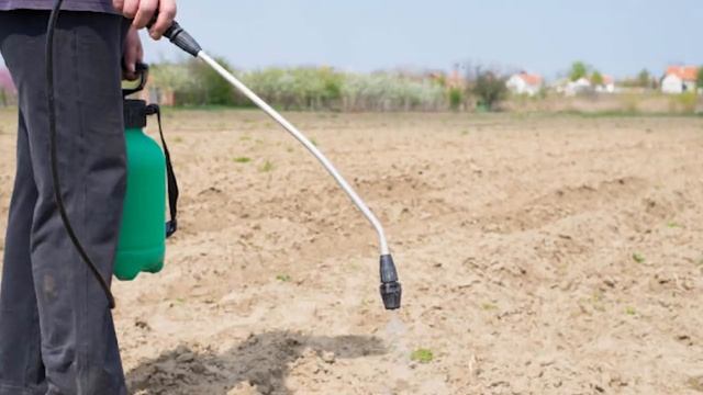 Долой сорняки: простое средство, которое избавит от вредной растительности на даче смотреть онлайн