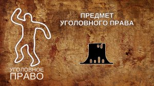 Предмет уголовного права