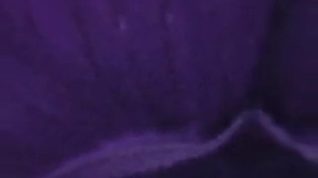 The fabled purple cities смотреть онлайн