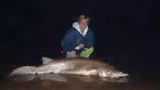 Protea Ladies Shore Angling Team Italy 2011.WMV смотреть онлайн