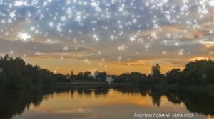 Горьким медом