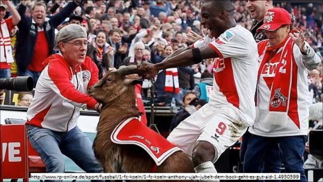 Ujah Jubel Köln Mein Bester Freund Hennes