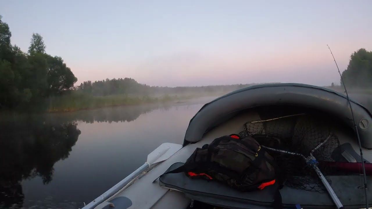 GOPR2401 смотреть онлайн